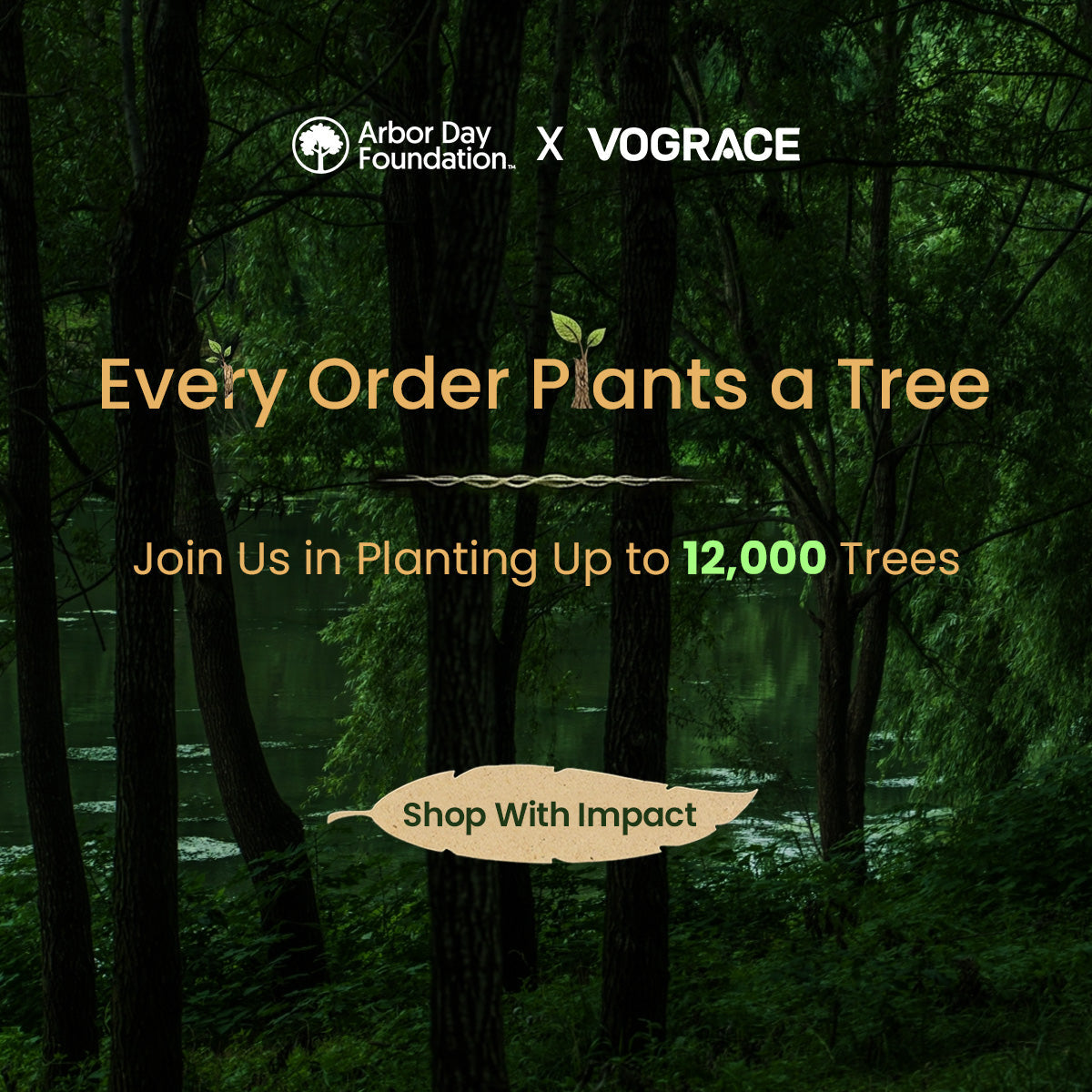 Every Order Plants a Tree: Vograce Launches Its Green-Month Initiative🌳✨