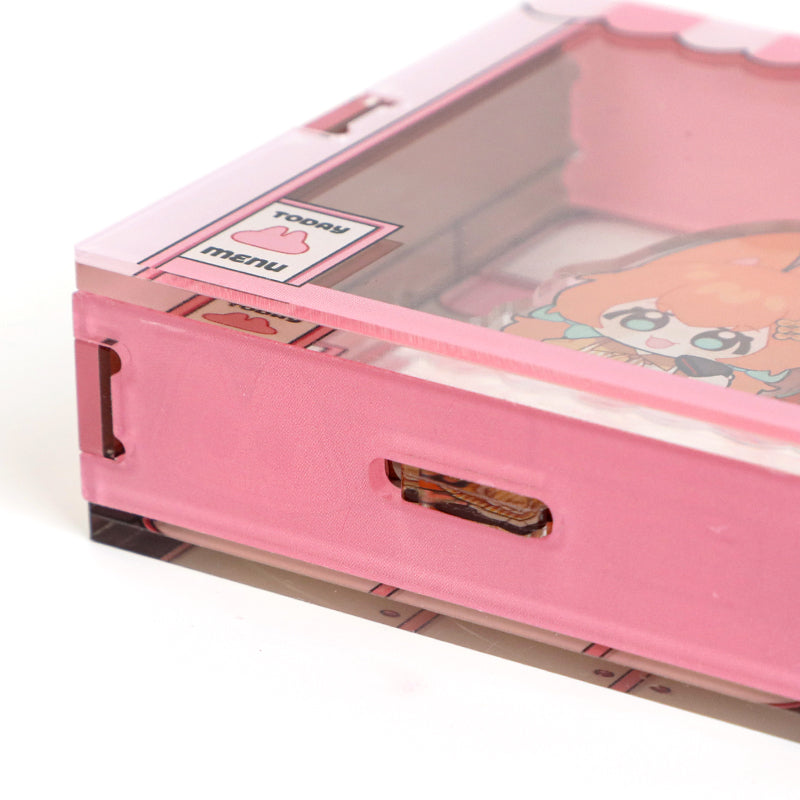 Custom Acrylic Display Case