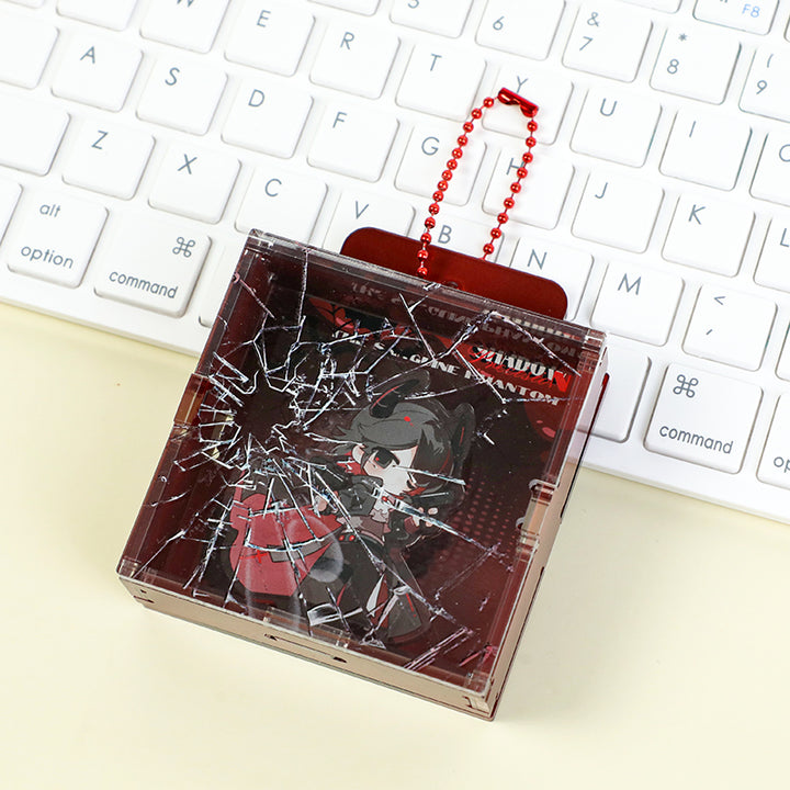 Custom Acrylic Display Case